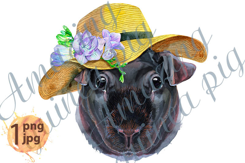 watercolor-portrait-of-skinny-guinea-pig-in-summer-hat