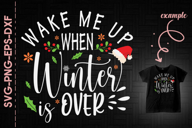 wake-me-up-when-winter-is-over-santa