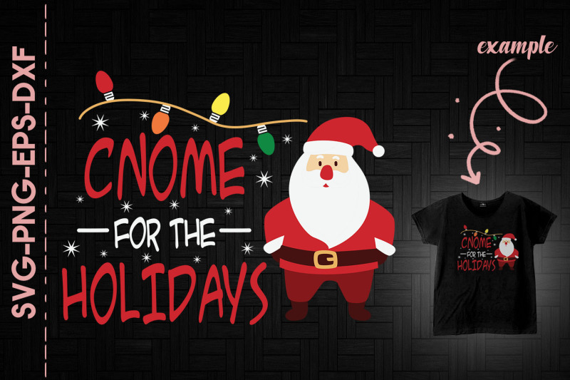 gnome-for-the-holidays-christmas-fun