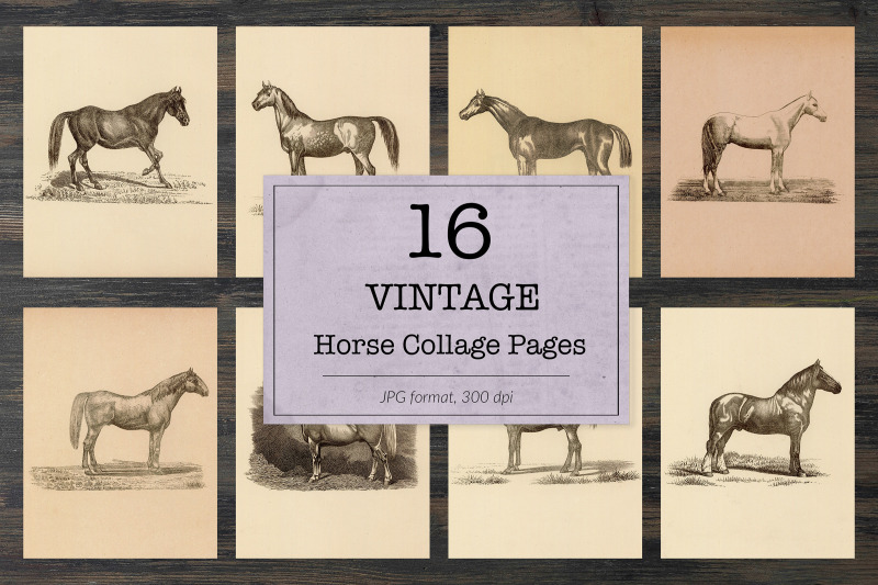 vintage-horse-illustrations