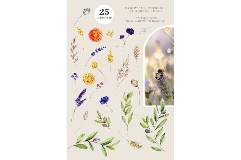 50-sale-watercolor-summer-flowers