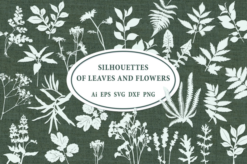 silhouettes-of-leaves-and-flowers-svg