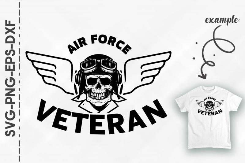 air-force-veteran-wing-pilot-soldier