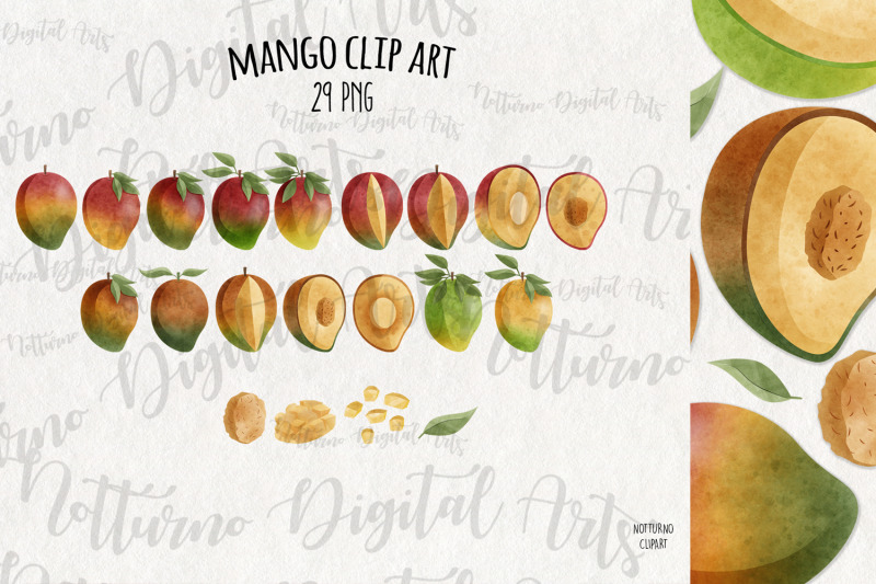 watercolor-mango-clipart-set-of-29