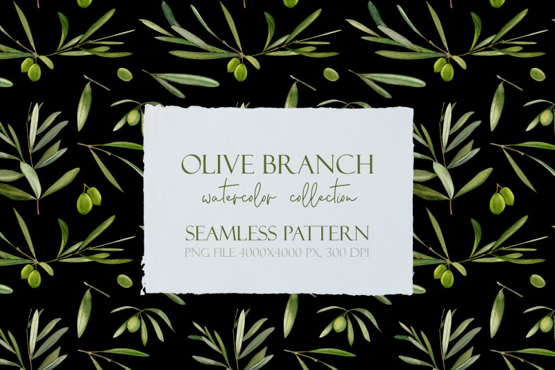 olive-branch-watercolor-clipart