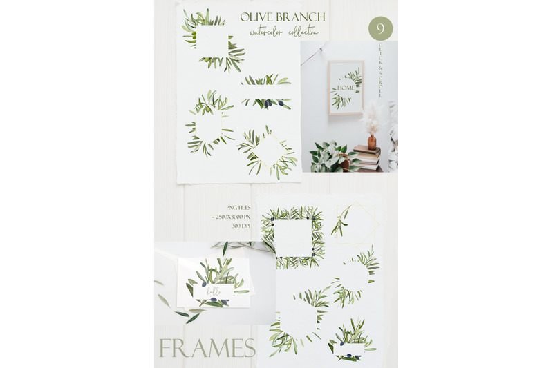 olive-branch-watercolor-clipart