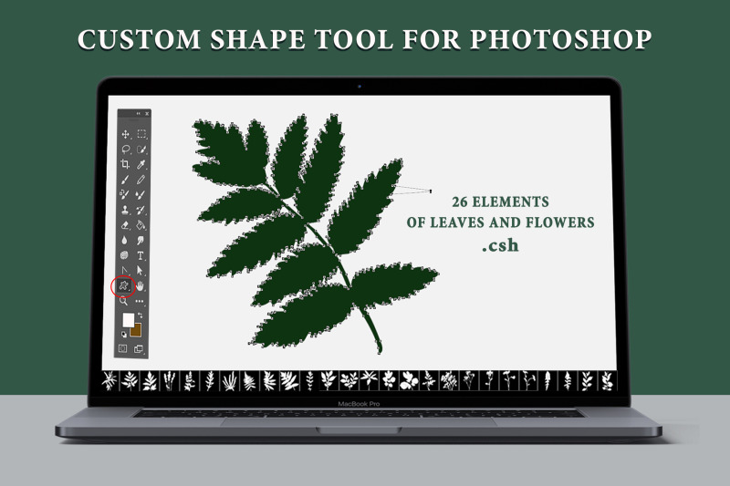 leaves-and-flowers-custom-shape-tool-for-photoshop