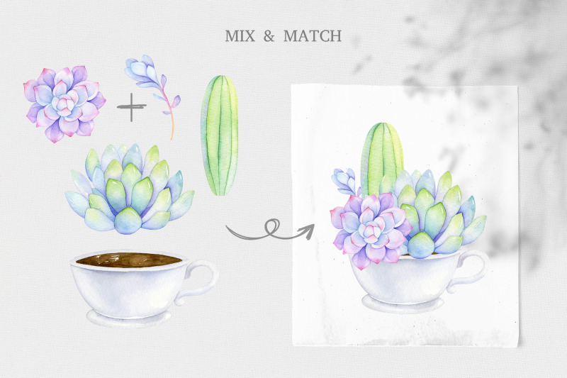 watercolor-succulent-clipart-diy-mix-and-match