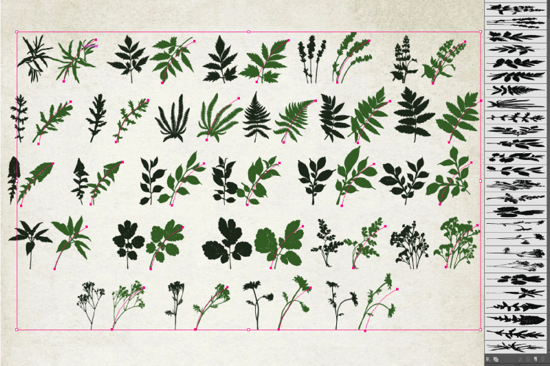 leaf-and-flower-brushes-for-adobe-illustrator