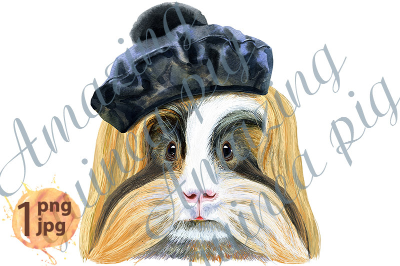 watercolor-portrait-of-sheltie-guinea-pig-in-black-beret