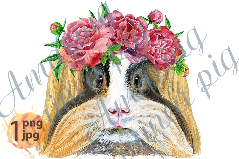 watercolor-portrait-of-sheltie-guinea-pig-with-freesia-wreath