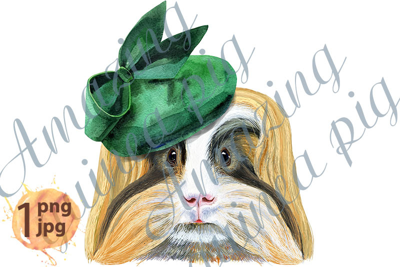 watercolor-portrait-of-sheltie-guinea-pig-in-green-hat