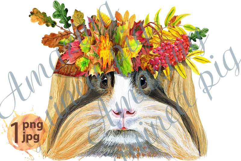 watercolor-portrait-of-sheltie-guinea-pig-in-a-wreath-of-autumn-leaves