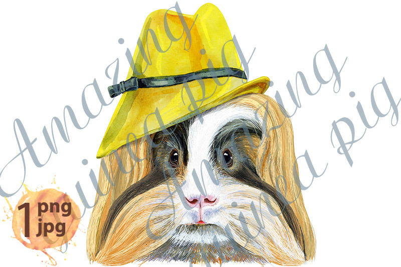 watercolor-portrait-of-sheltie-guinea-pig-in-yellow-hat