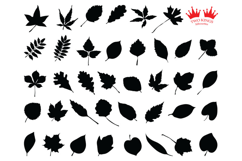 svg-leaf-silhouette-black-set-decoration-element-design-vector-leaf