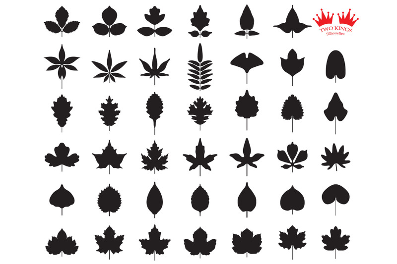 set-of-different-leaves-isolated-on-white-background-leaf-icon-set-ve