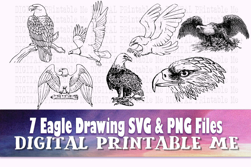 eagle-svg-line-art-drawing-png-clip-art-pack-7-images-pack-instant-download-digital-vector-bundle-bird-of-prey-hawk-outline