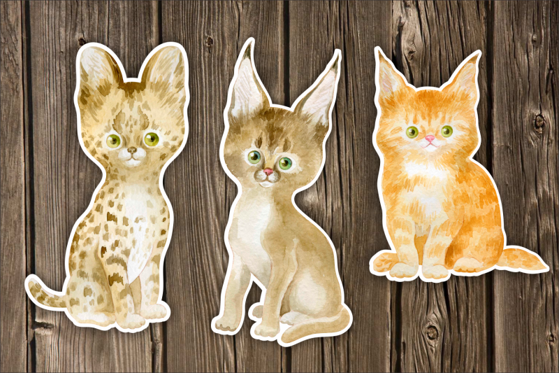 watercolor-cats-printable-stickers-png