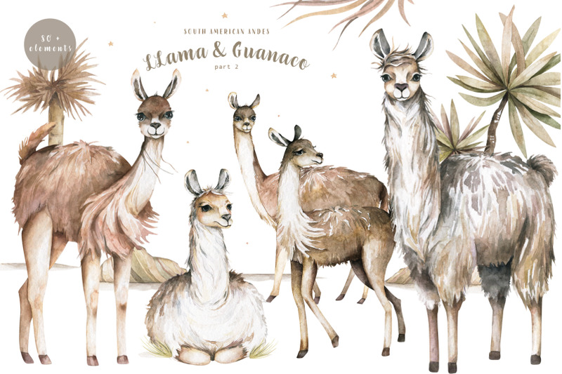 cute-llama-amp-guanaco-watercolor-set