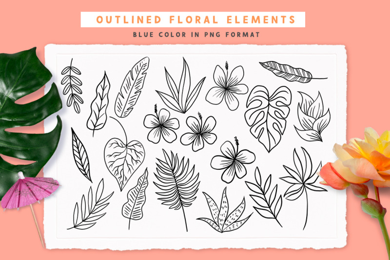 tropical-blooms-floral-illustrations-and-lettering-phrases