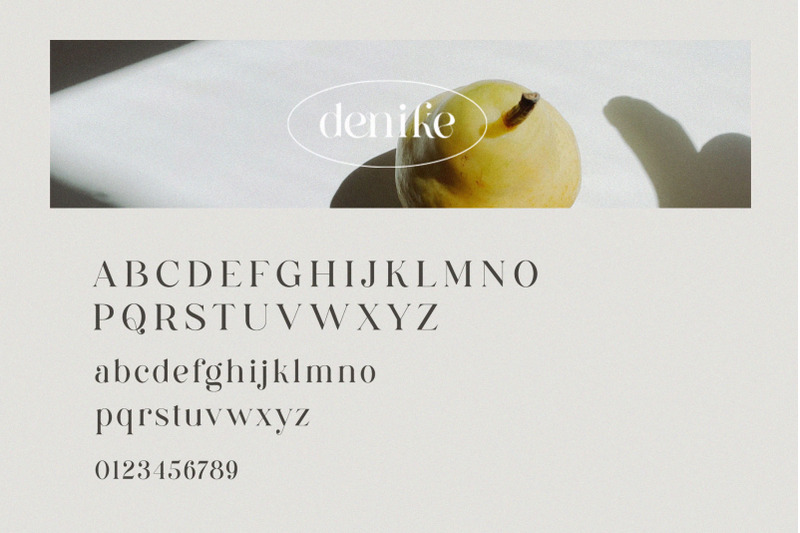 denike-stylish-modern-serif