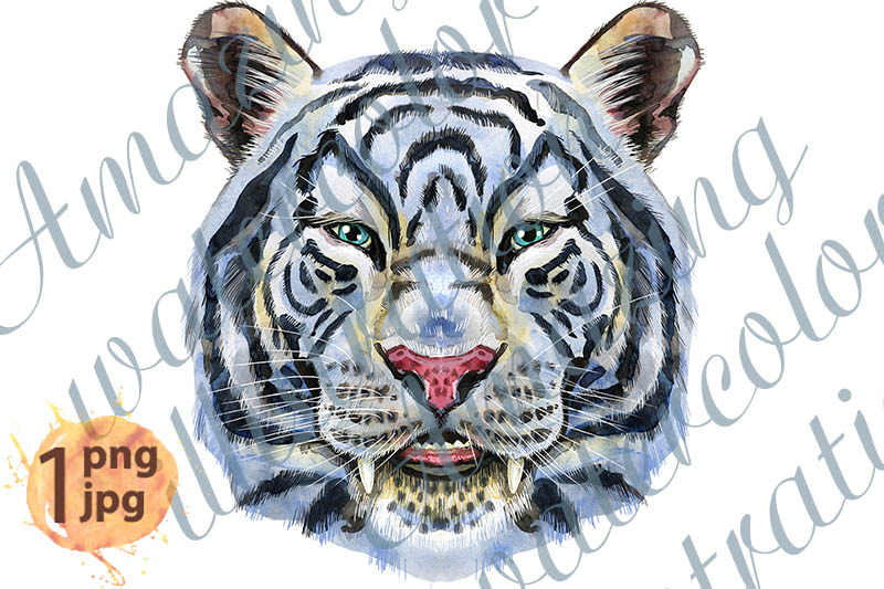 colorful-white-smiling-tiger-wild-animal-watercolor-illustration