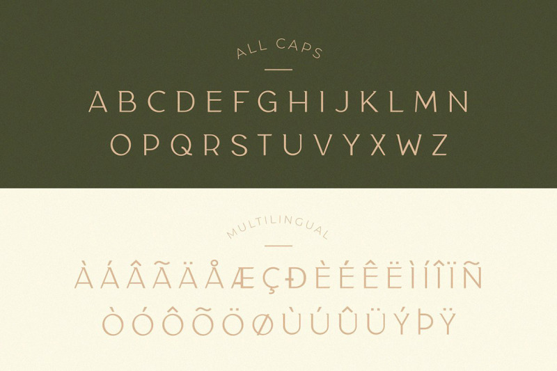 classy-taylor-typeface