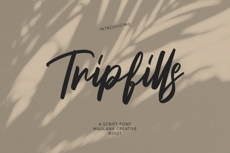tripfills-script-font