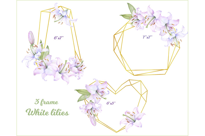 3-golden-frame-with-flowers-of-white-lilies-clipart-png