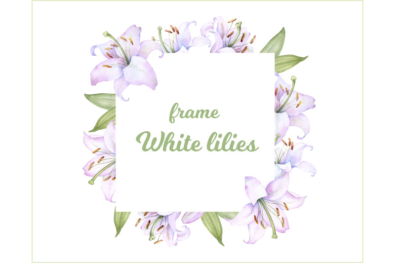 square-frame-with-watercolor-white-and-pink-lily-flowers