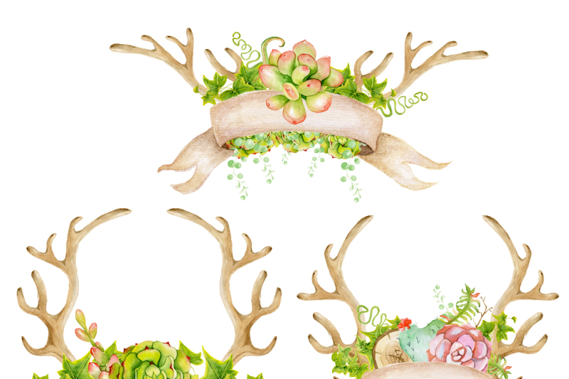 antlers-and-succulents-clip-art-boho-watercolor