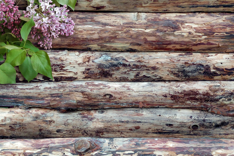 lilacs-on-a-wooden-background