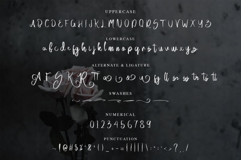 acallypha-handwritten-script-font