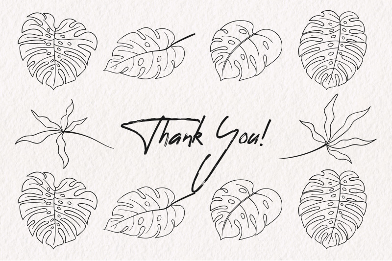 summer-plants-line-art-collection