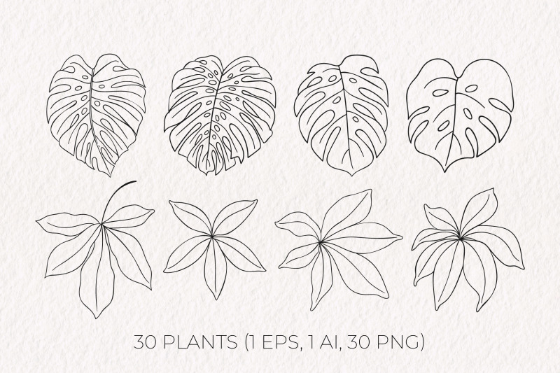 summer-plants-line-art-collection