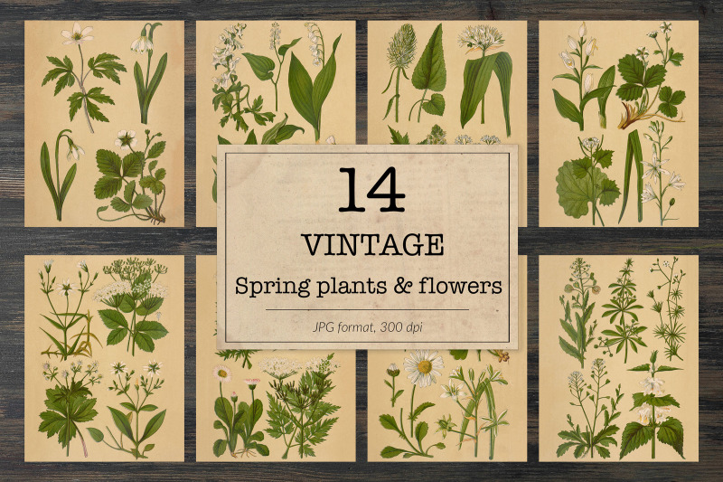 vintage-spring-flowers-and-plants