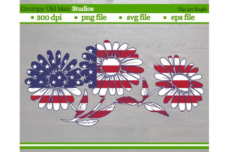 july-4th-coneflower-fourth-of-july-design