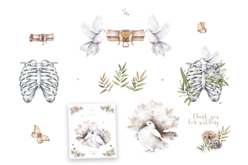 white-dove-peace-watercolor-set-png-amp-vector
