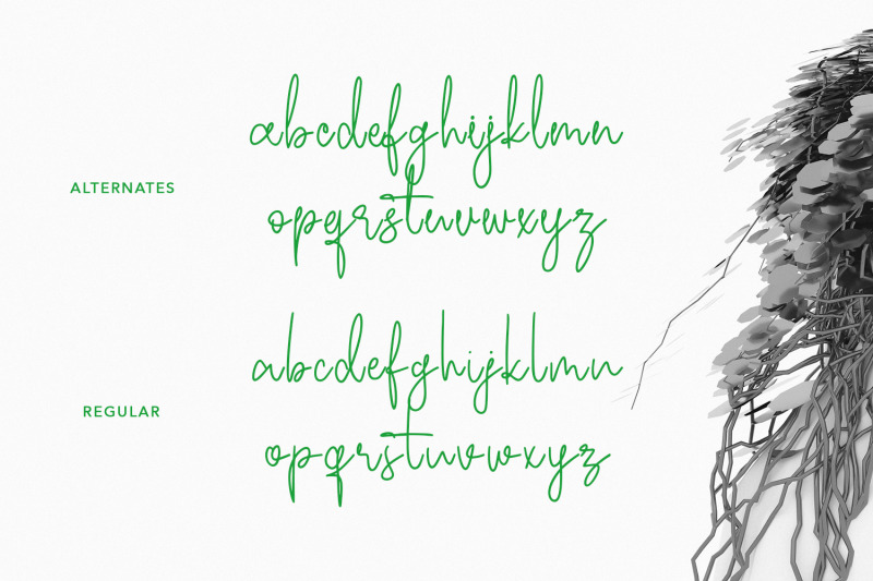 ecaliptycus-script-font