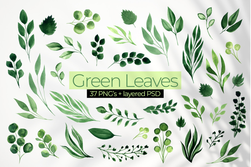 green-leaves-watercolor-greenery