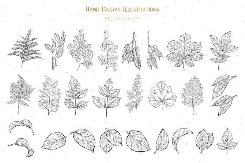 leaves-and-branches-botanical-vol-1