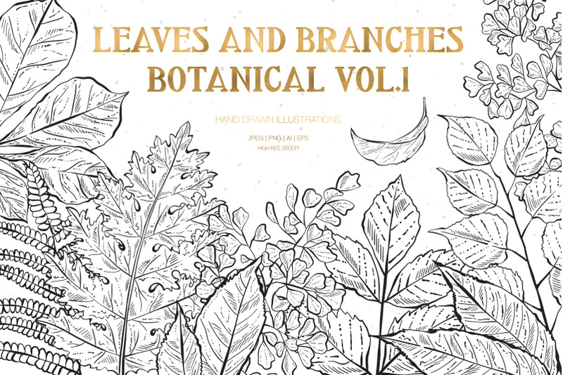 leaves-and-branches-botanical-vol-1