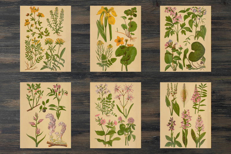 vintage-spring-floral-backgrounds