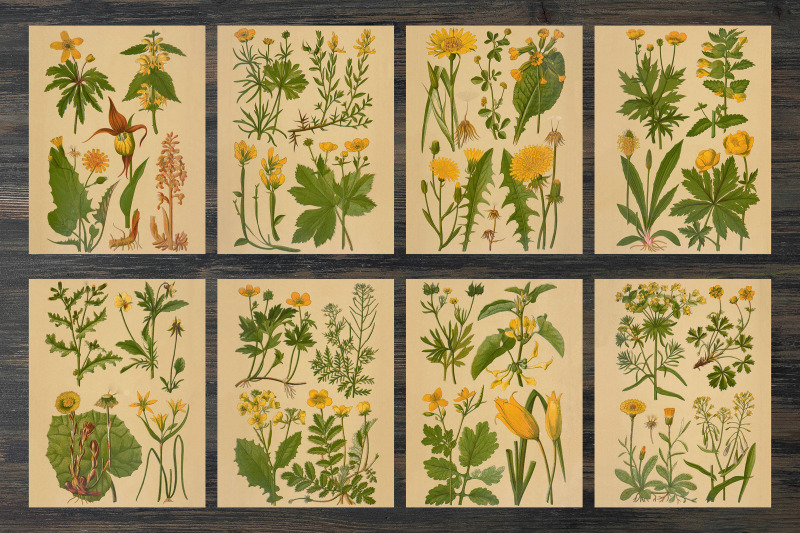 vintage-spring-floral-backgrounds