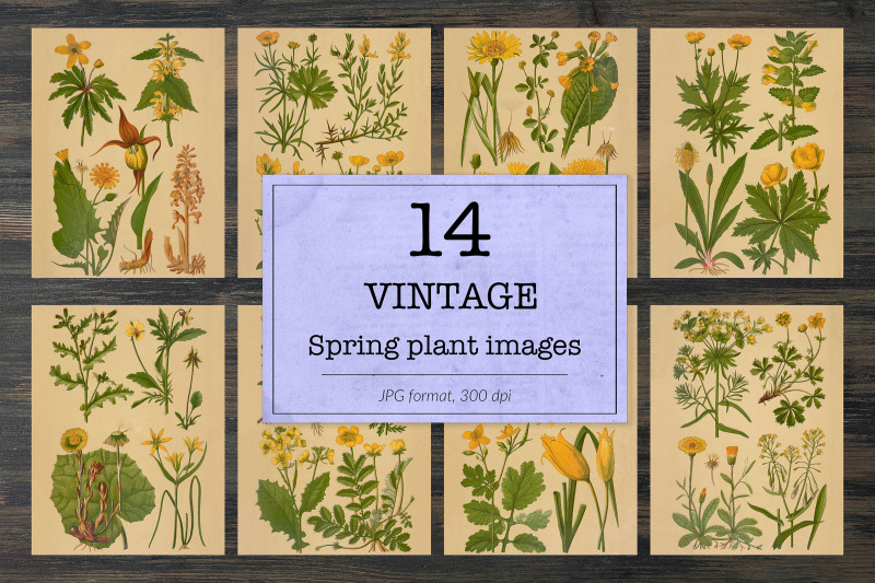 vintage-spring-floral-backgrounds