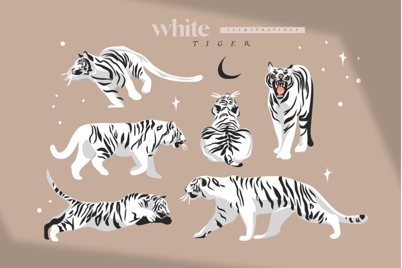 white-tiger