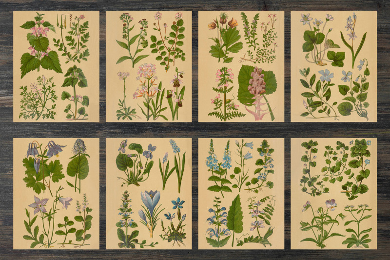 vintage-summer-floral-backgrounds