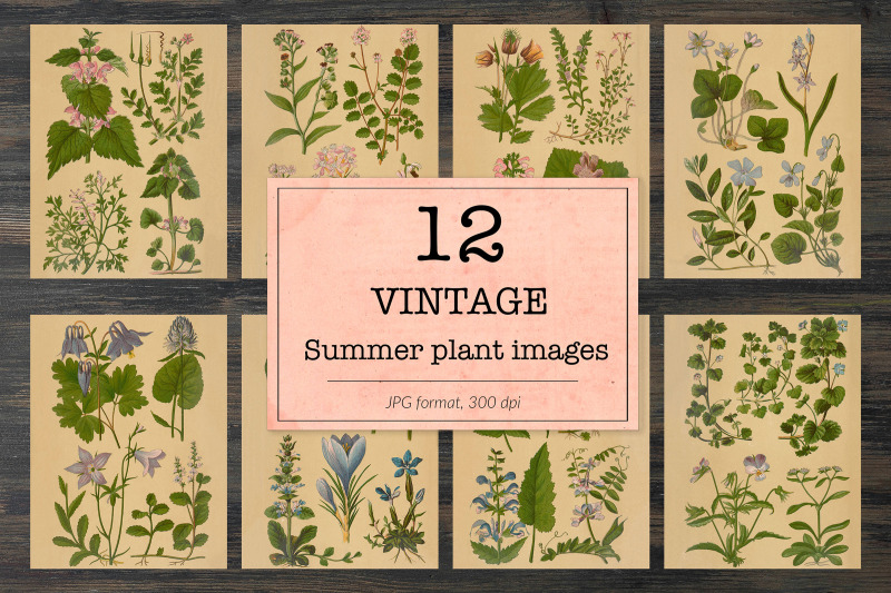 vintage-summer-floral-backgrounds