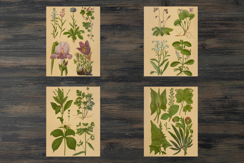 vintage-summer-floral-backgrounds