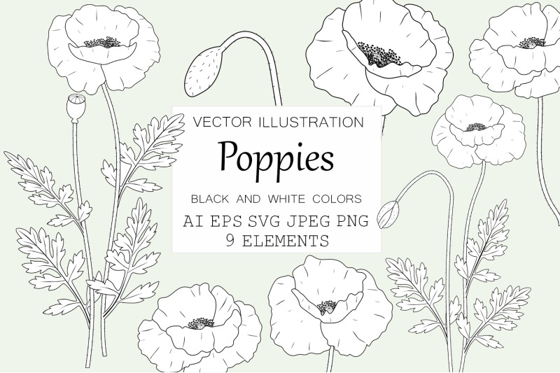 poppies-flowers-poppies-graphics-poppies-coloring-svg